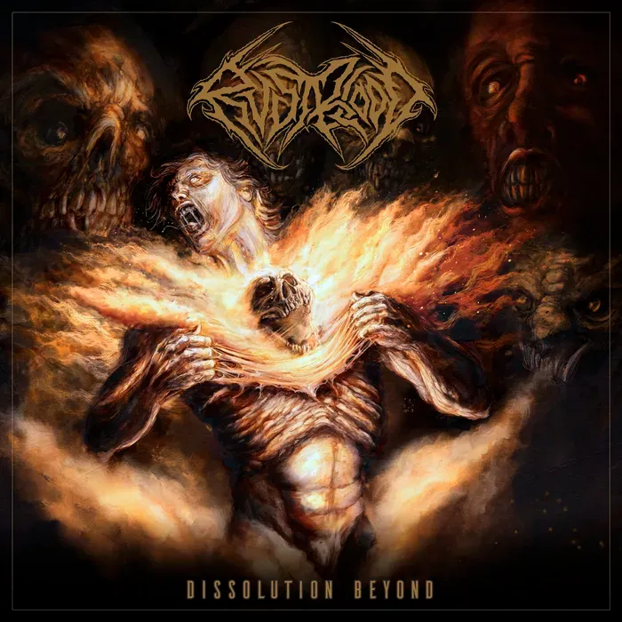 Dissolution Beyond